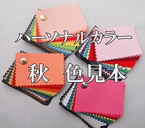 Amazon.co.jp: 【日本製】Autumn（秋）パーソナルカラースウォッチ30